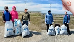 Более 100 мешков мусора. Итоги экологической акции