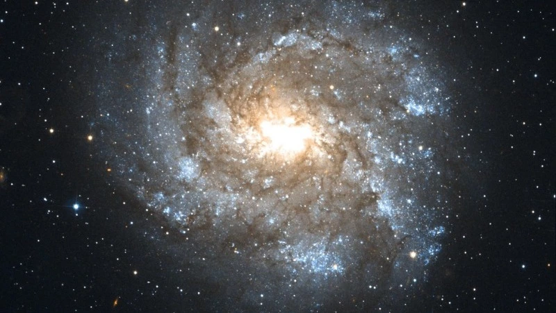 Гороскоп на 5 февраля 2024 года: важные советы астрологов