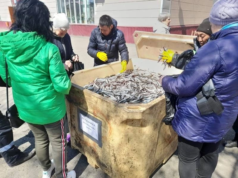 В Сахалинской области увеличили объемы реализации свежевыловленной рыбы по сниженным ценам