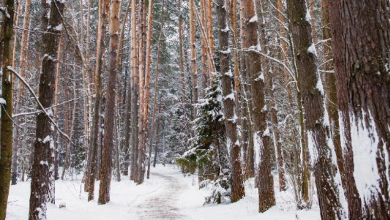 Народные приметы на 17 января 2024: что нельзя делать в этот день