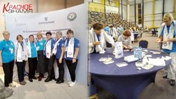 «Сила опыта – сила добра»: серебряные волонтеры Сахалина подвели итоги года