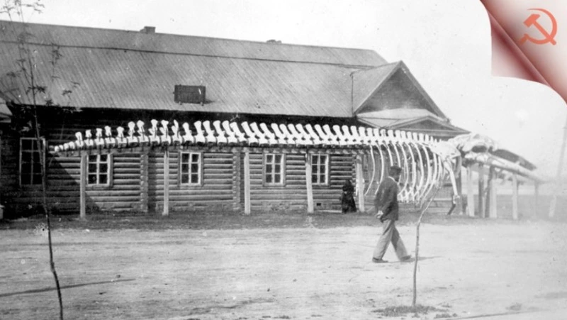 ПАМЯТНЫЕ И ЗНАМЕНАТЕЛЬНЫЕ  ДАТЫ НА 2026 ГОД