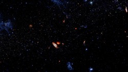 Гороскоп на 31 мая 2025 года для каждого знака зодиака