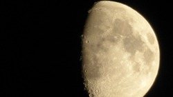 Новолуние 10 марта 2024 года принесет любовь и финансовое благополучие этим 2 знакам зодиака