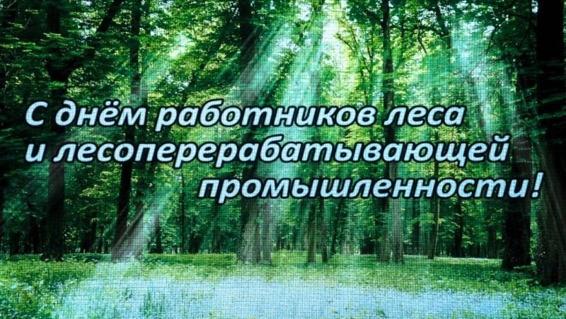 Мэр и председатель Собрания поздравили тружеников и ветеранов лесной отрасли