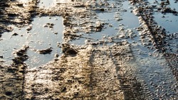 Дарья Грязная 2025: что нельзя делать, народные приметы на 1 апреля
