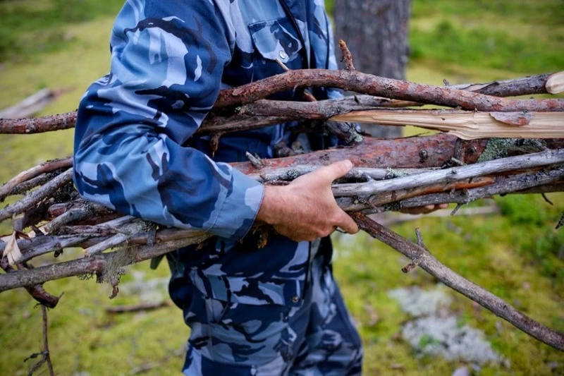 Валежник можно собирать бесплатно