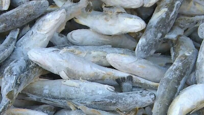 О реализации наваги 12 января