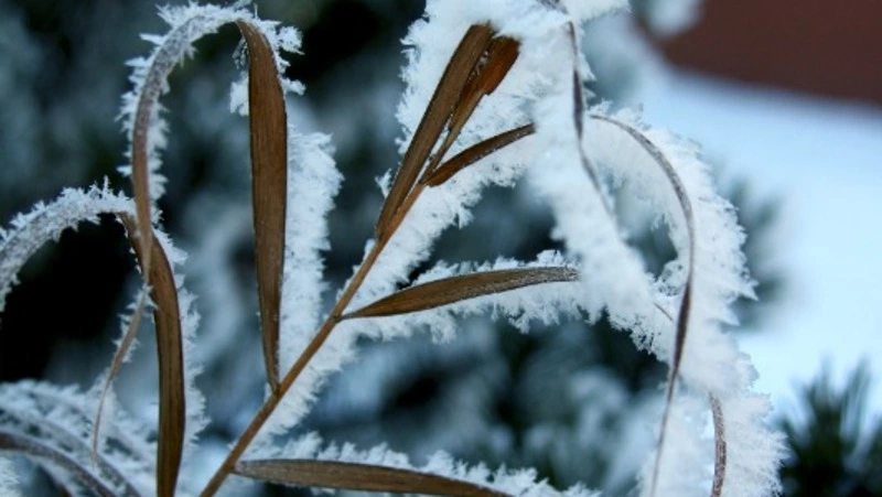 Церковный праздник 27 ноября 2023 года: приметы, что нельзя делать в этот день