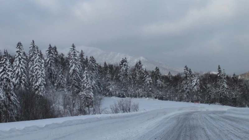 О временном ограничении движения автобусов