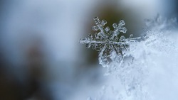 Снег, ветер и мороз ожидаются в Сахалинской области 18 января