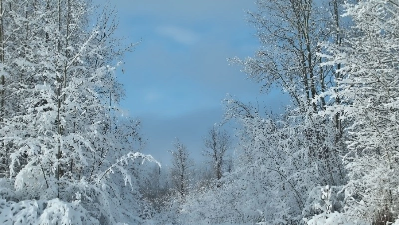 Народные приметы на 3 января 2024: что нельзя делать в этот день