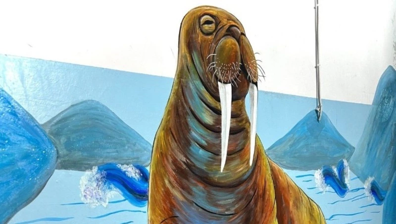 Названы образцовые подъезды сентября в Сахалинской области