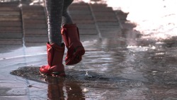 Дождь и до +20 градусов ожидается на Сахалине 17 мая 