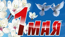 Поздравление с 1 Мая от депутата облдумы А.А.Болотникова