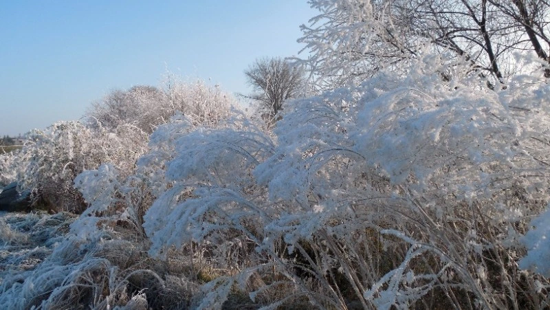 Снег и ветер ожидаются в Сахалинской области на предстоящей неделе