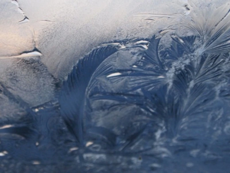 О правилах поведения на льду