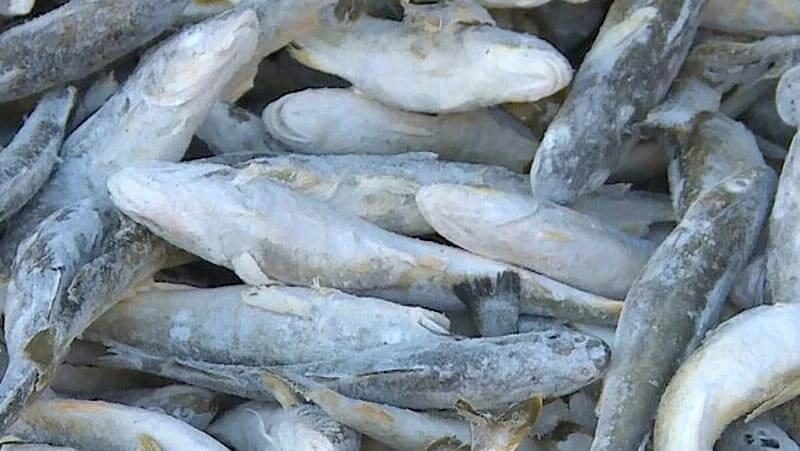 Реализация наваги 9 января