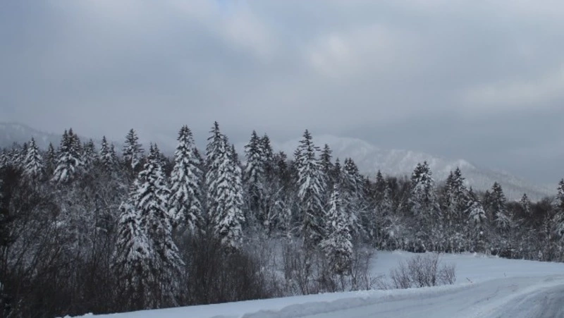 Внимание, аномально холодная погода!