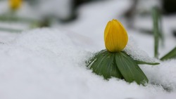 Прогноз погоды на Сахалине и Курилах на 7 марта