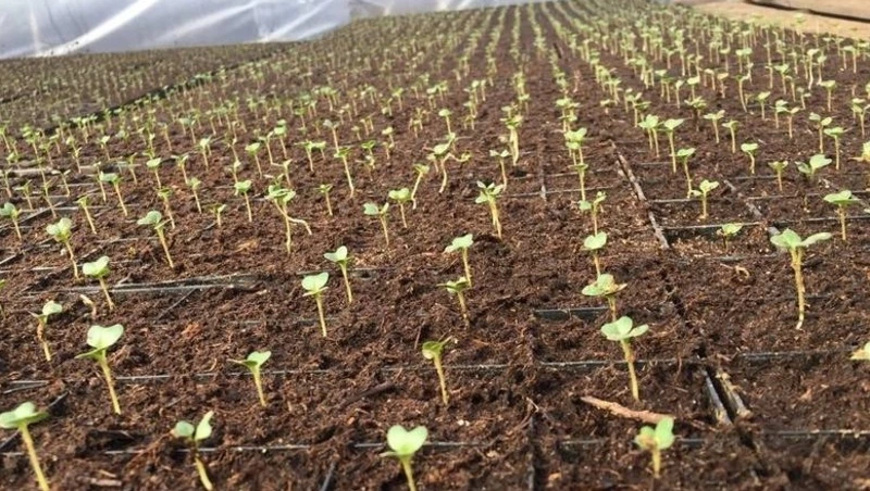 Сахалинские аграрии готовятся к весенним полевым работам