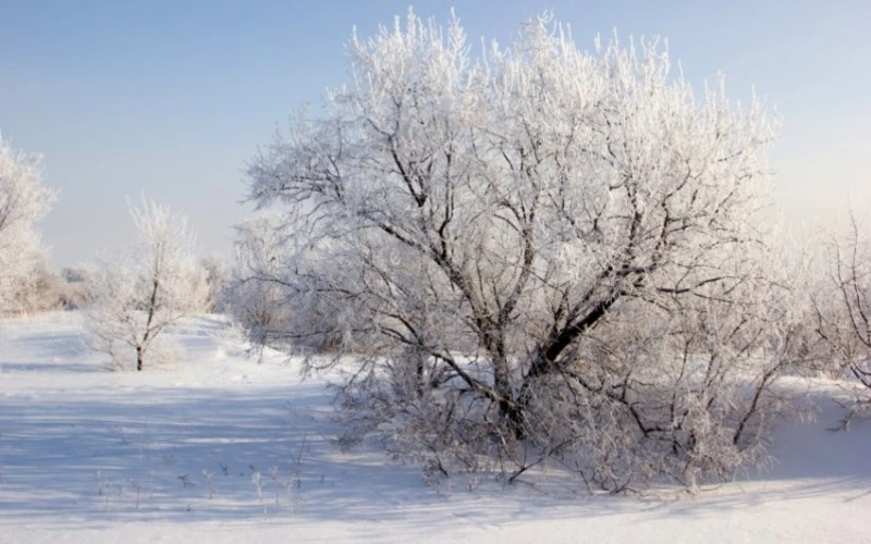 ФГБУ «Сахалинское УГМС» информирует: