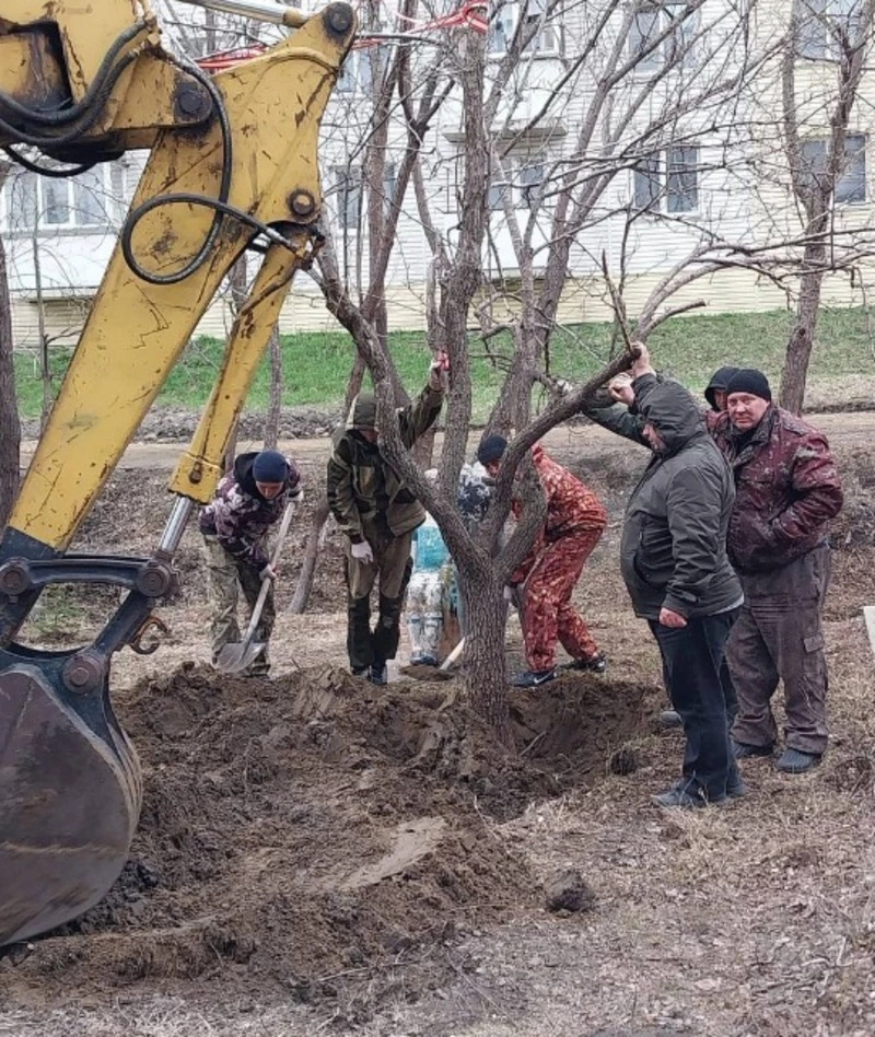 Спасите наши груши!