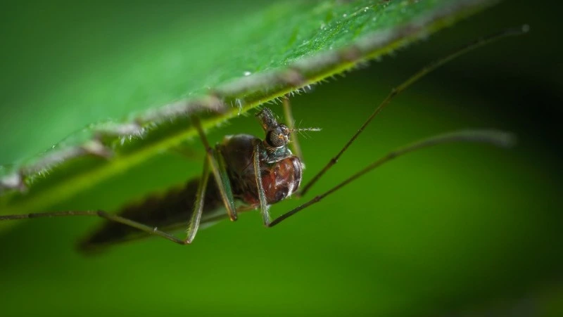 Народные приметы на 26 мая 2024: что нельзя делать в этот день