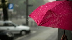 Умеренный дождь и +26 градусов: прогноз погоды в Сахалинской области на 13 августа