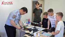 Профориентационный квест:  дети выбирают свой путь!