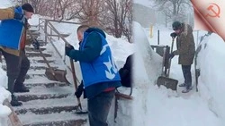Активисты Александровска-Сахалинского продолжают помогать горожанам