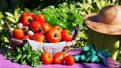 Народные приметы на Федотов день: что нельзя делать 20 июня 2025 года