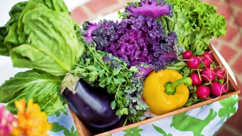 Александровским садоводам и огородникам напоминают о местах для продажи излишков урожаю