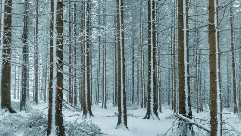 Церковный праздник 22 января 2024 года: приметы, что нельзя делать в этот день