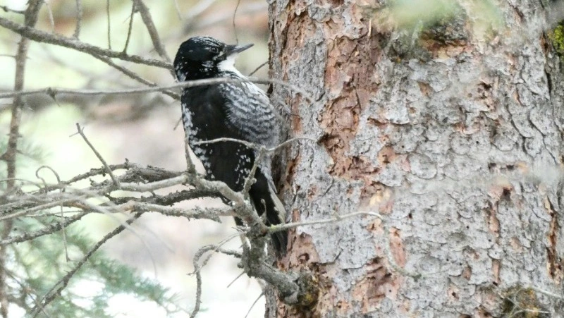 Народные приметы на 21 марта 2024: что нельзя делать в этот день