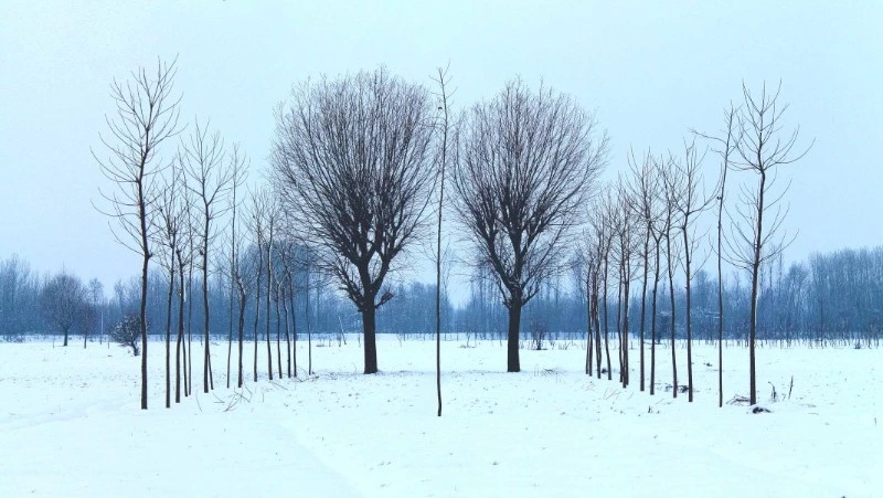 Прогноз погоды в Сахалинской области 10 января 