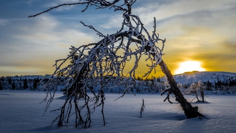 Церковный праздник 15 января 2024 года: приметы, что нельзя делать в этот день