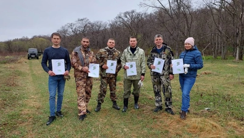 Сегодня отмечается День работников леса