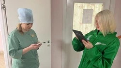 Около 2 тысяч александровцев приняли участие в голосовании за объекты благоустройства